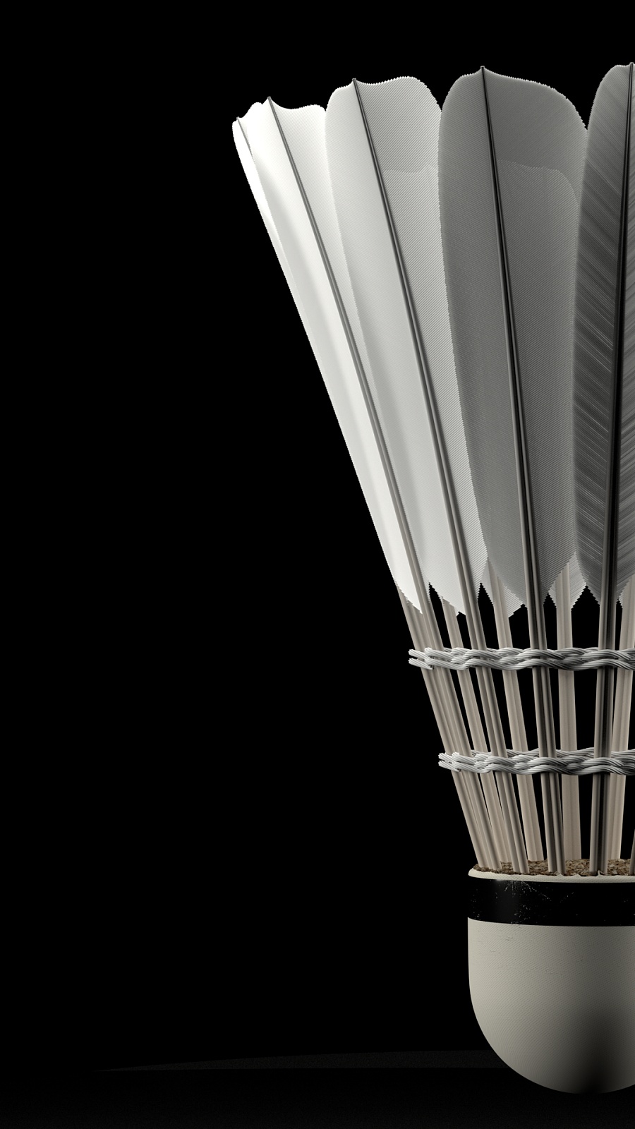 本次世界泳 本次世界泳