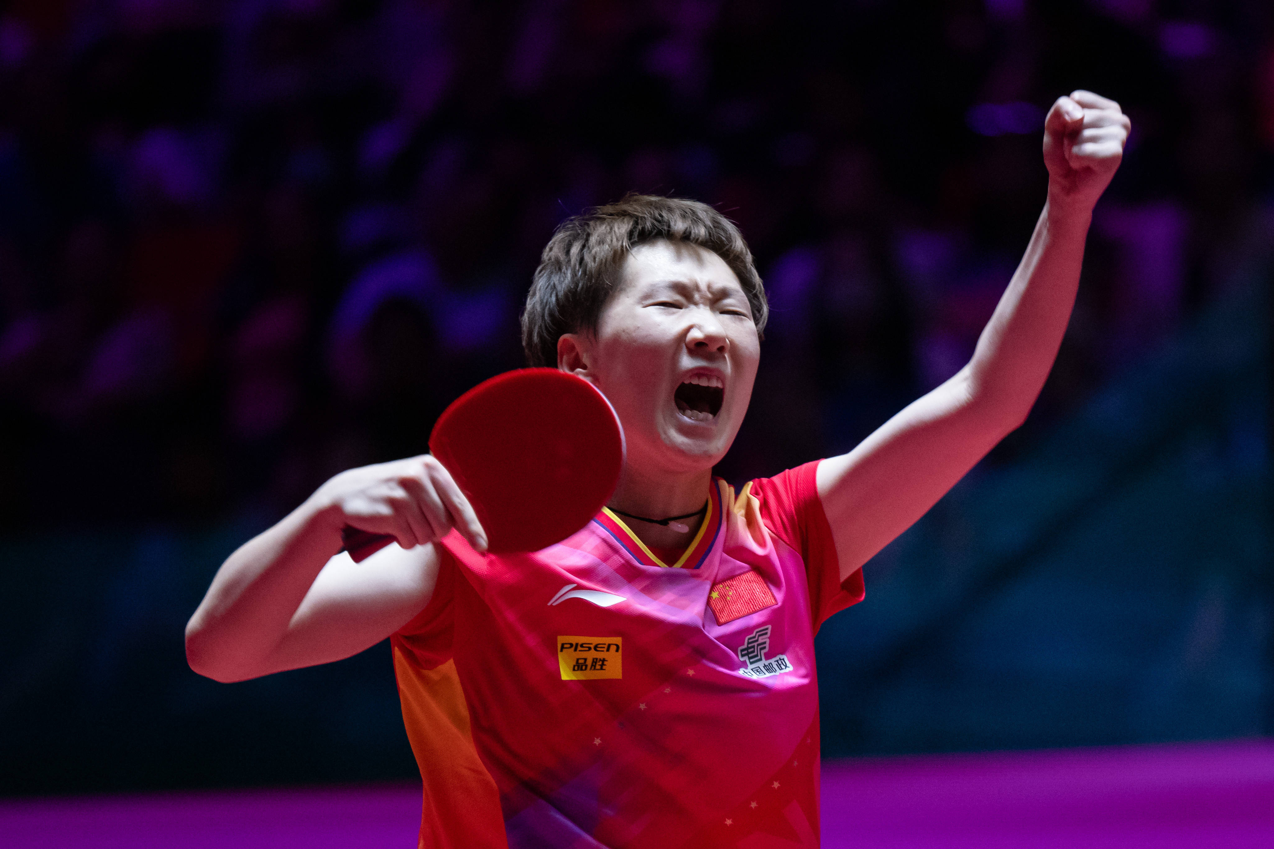 迷借此决定 迷借此决定